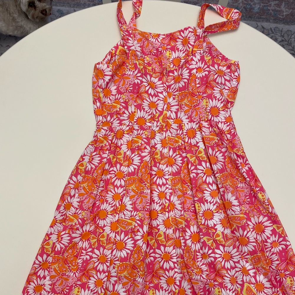 Lily Pulitzer Butterfly Summer Dress Size 4